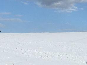 娱乐吃瓜洲,揭秘娱乐圈背后的那些事儿