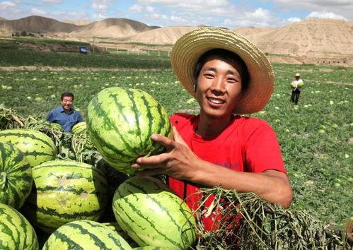 江西太晚娱乐陪你吃瓜,陪你吃瓜，畅谈娱乐圈新鲜事